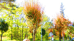 2025年10月19日　骨と歯の健康連携フォーラム