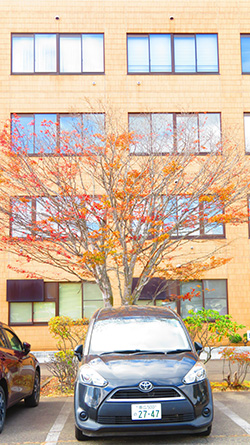 2025年10月21日　帯広大谷短大講義〔4〕