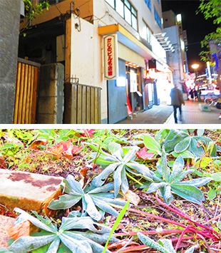 2025年10月29日　歯科医師会有志懇談会