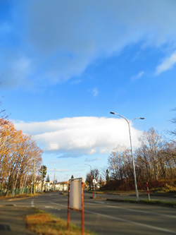 2025年11月11日 就学前歯科健診