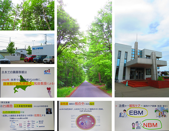 2025年6月3日　専門学校講義〔6〕